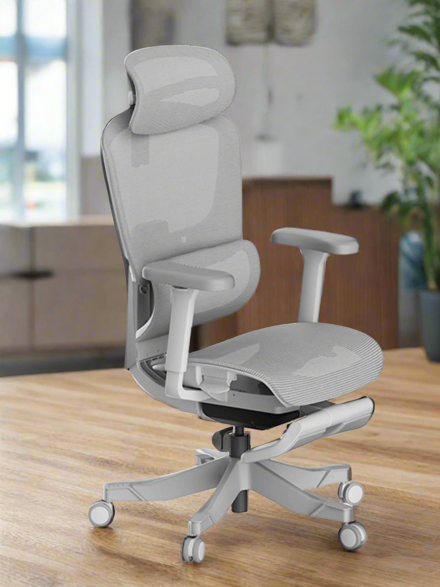 Ergonomic Chair V-Q5L-FT