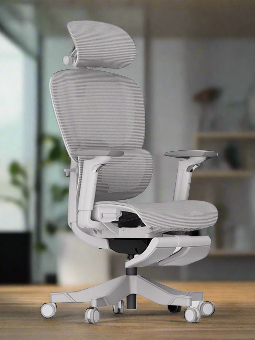 Ergonomic Chair V-Q5L-FT