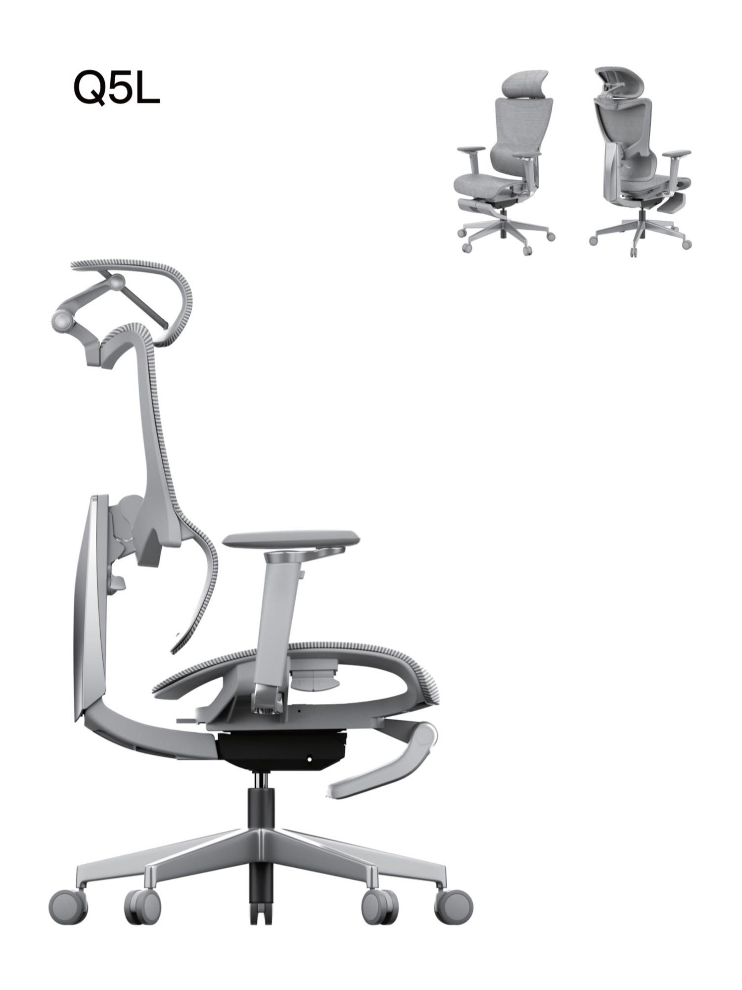 Ergonomic Chair V-Q5L-FT