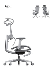 Ergonomic Chair V-Q5L-FT-S